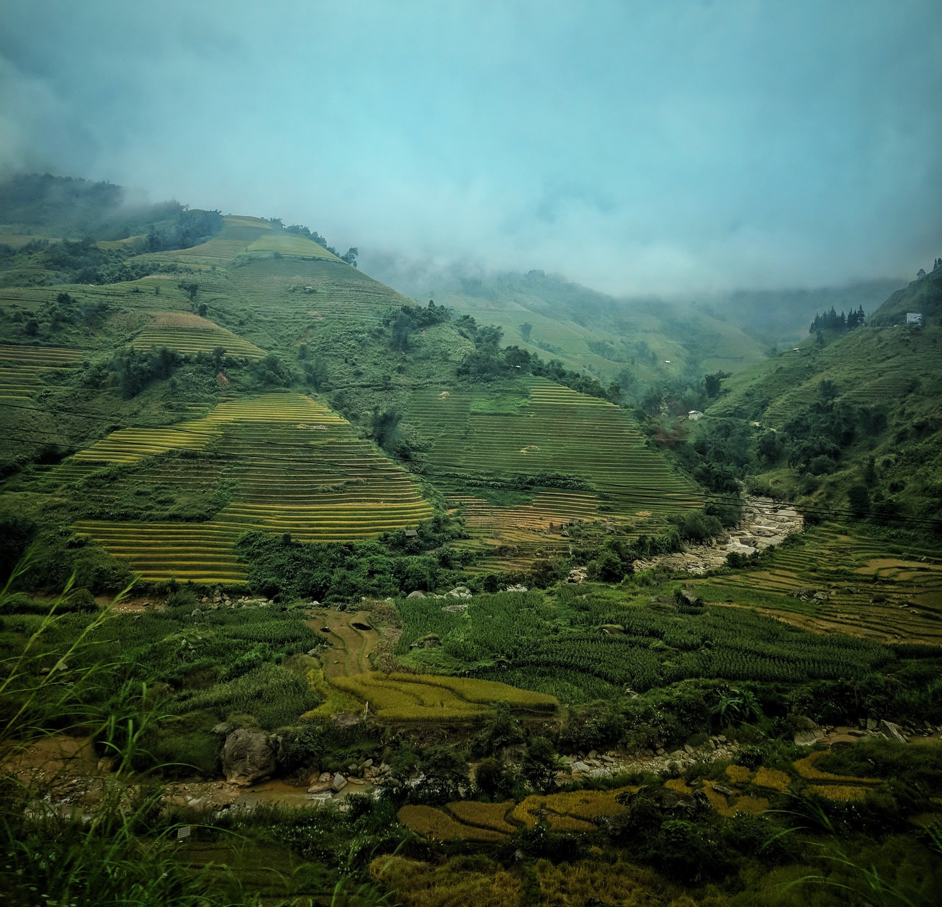 Stepped-farming on show in the valleys of mountainous Vietnam
